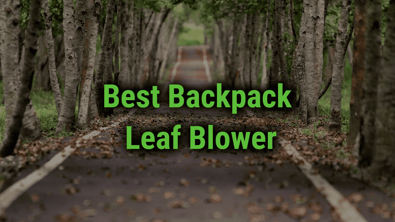 Best Backpack Leaf Blowers In 2024 Review Comparison   Best Leaf Blower 