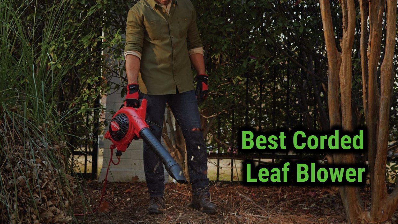 Best Corded Leaf Blowers in the Market Reviews of 2024