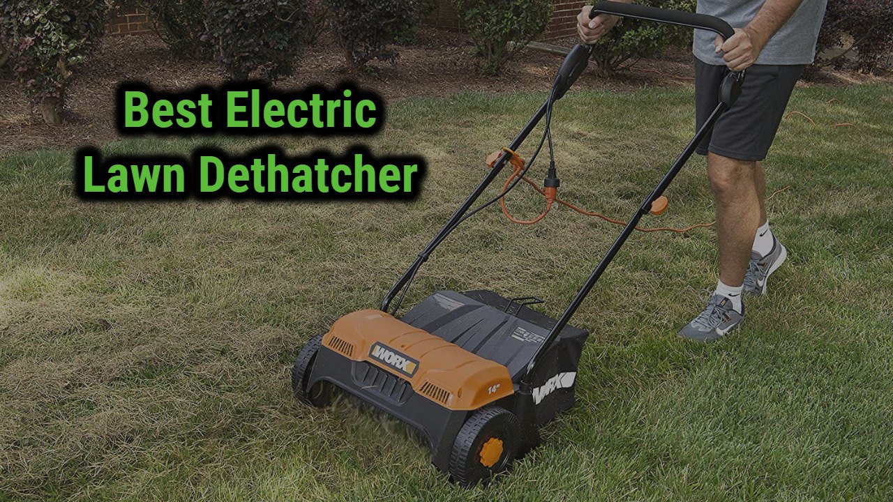 Best Electric Lawn Dethatchers of 2024 Reviews & Guide